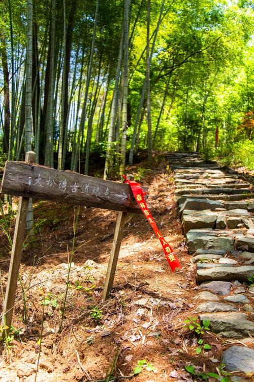 探寻宁波登山古道,历史的回响与自然的画卷