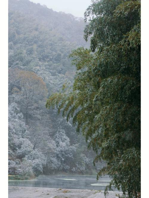 探寻宜兴冰天雪地，感受冬日里的诗意与浪漫