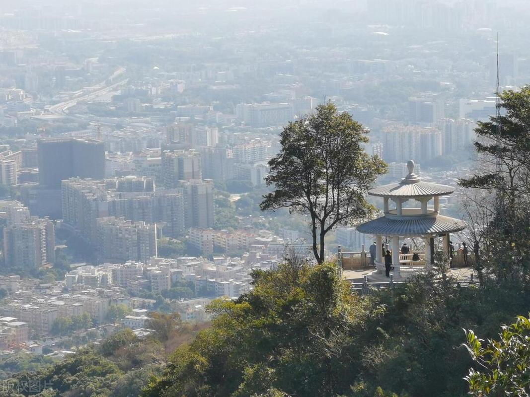 探寻岭南风情，尽在南下之旅_走进广东旅游胜地