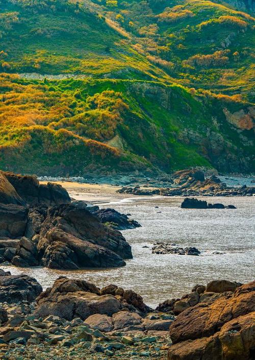 探寻岱山之美,一座岛屿的生态画卷