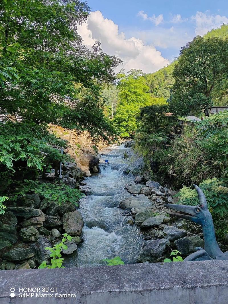 探寻平江亚马逊,免费景点中的自然奇观与人文魅力