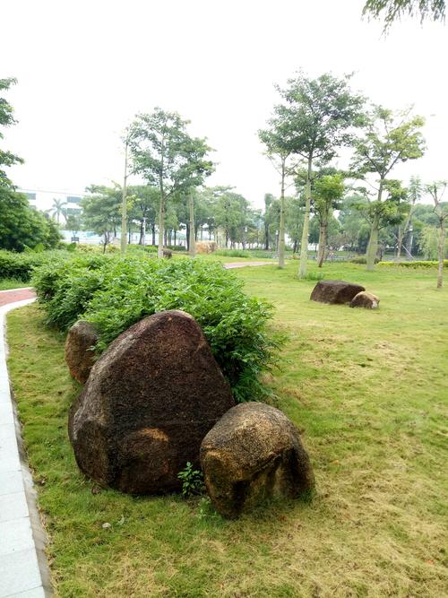 探寻广西石龙公园的奇幻之旅_生态旅游新地标