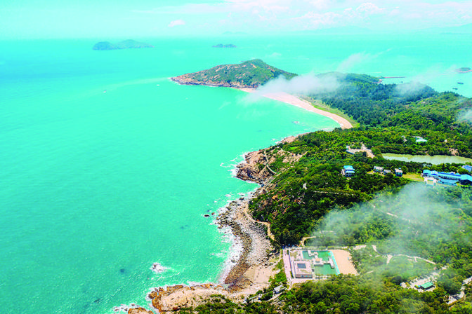 探寻惠州海龟湾,生态旅游的瑰宝与海洋生物的家园