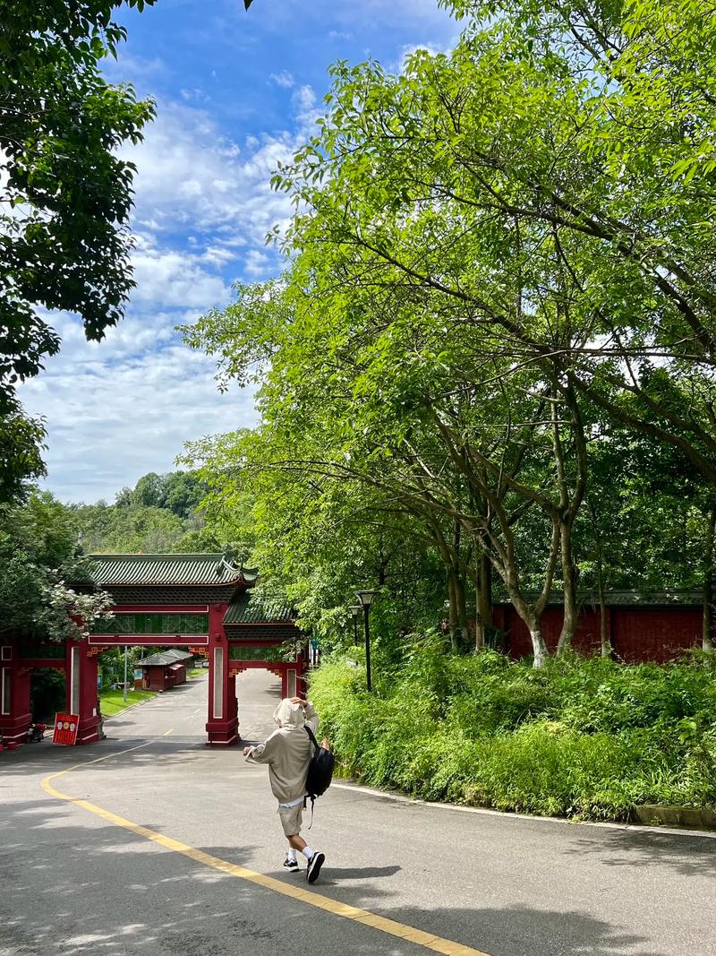 探寻成都森林古道,穿越千年历史的绿色秘境