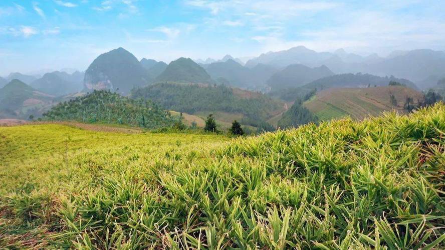 探寻文山之美,介绍这片神秘土地的旅游胜地  第2张