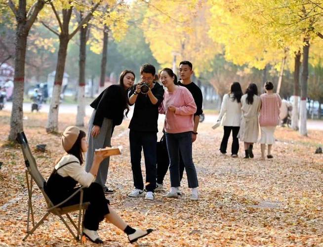 探寻新蔡人文之美_一场穿越千年的文化之旅