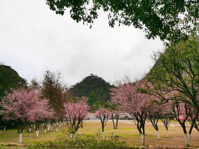 探寻新风旅游胜地，感受自然与人文的完美融合