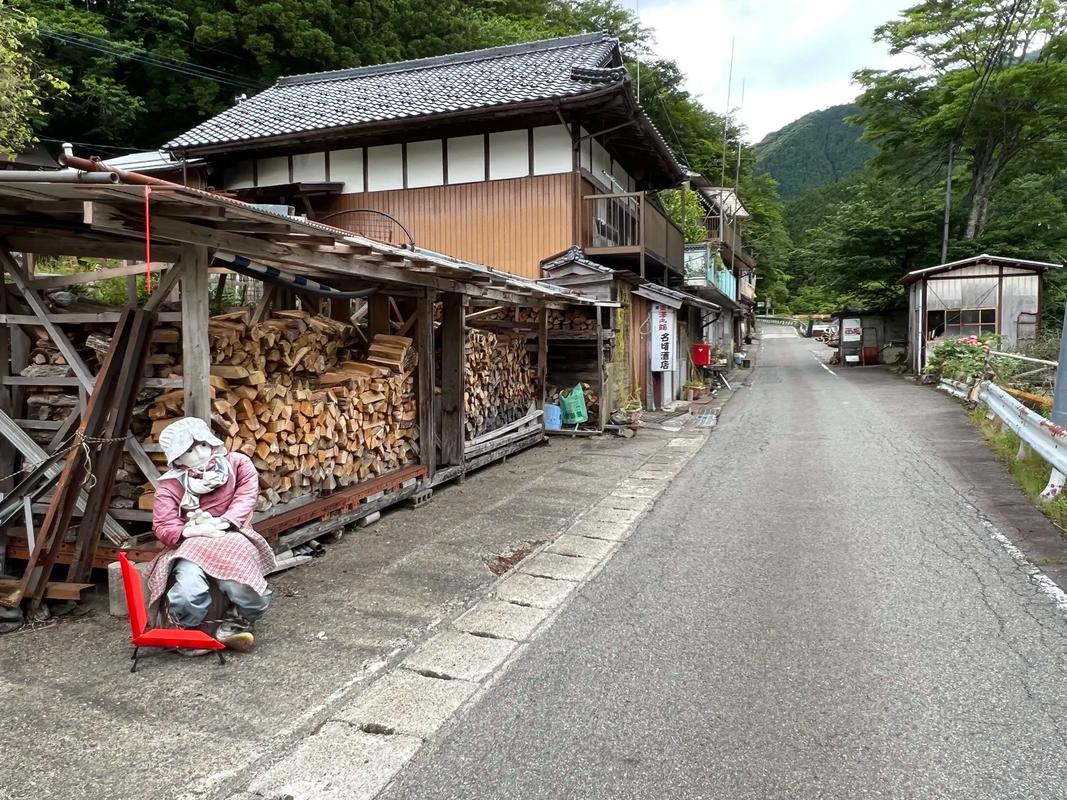 探寻日本德岛,古韵与现代交融的旅游胜地  第2张