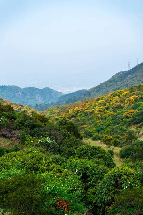 探寻日照竹山山顶,自然奇观与历史文化的完美融合  第2张