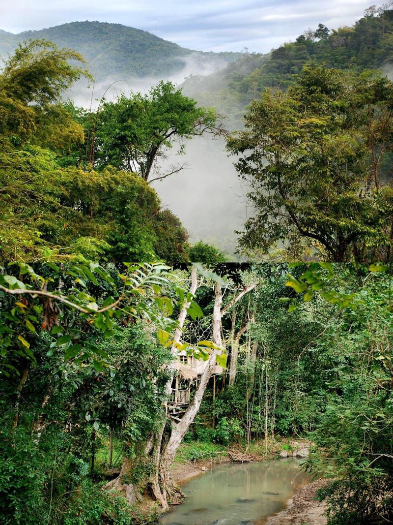 探寻昆明古树景点的绿色瑰宝,岁月流转中的生命传奇