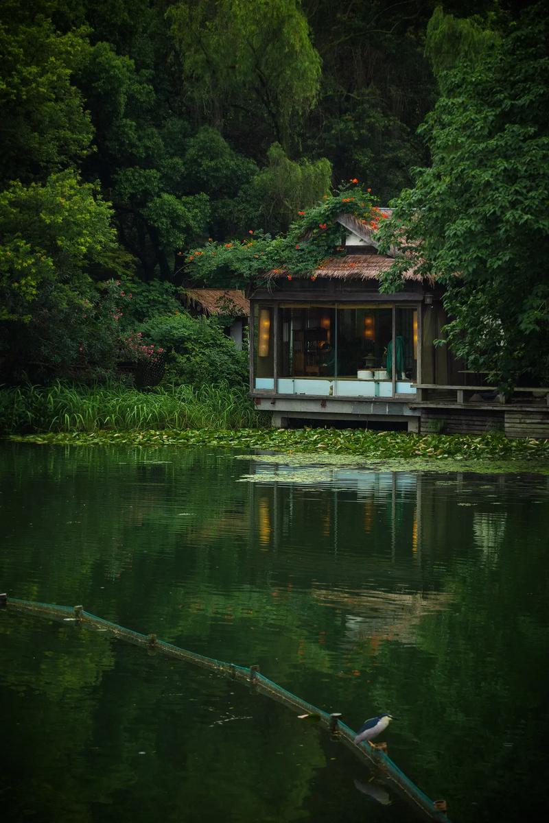 探寻杭州西湖的静谧角落_介绍冷门景点之美