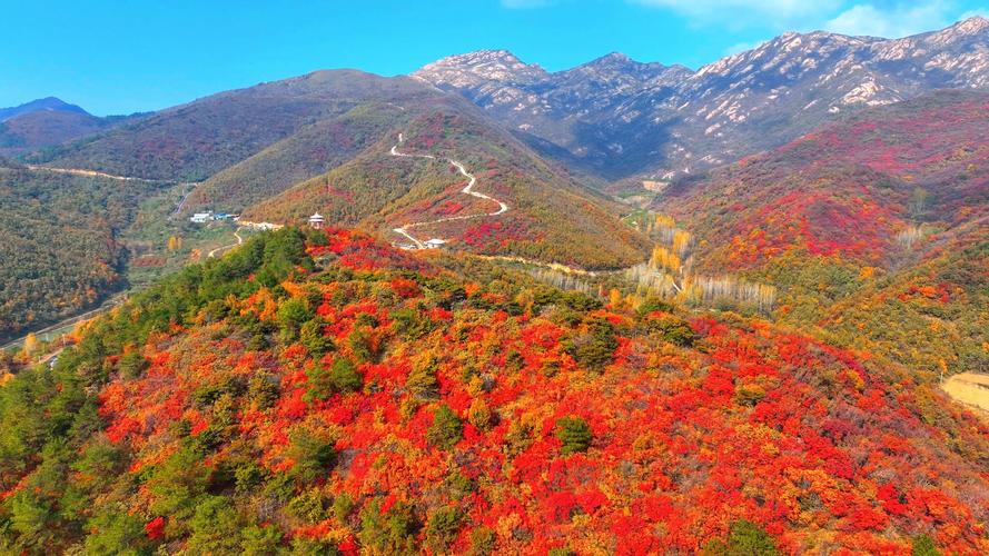 探寻桐柏深处的冷门美景,大自然的隐秘秘境  第2张