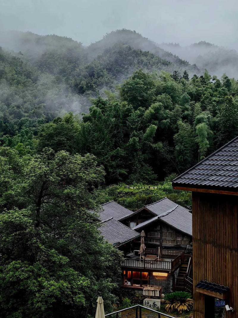 探寻梅岭深处的隐藏美景_梅岭隐藏景点介绍图介绍