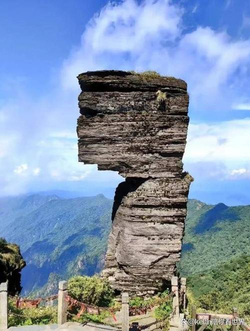 探寻梵净山的自然奇观,中国生物多样性的瑰宝