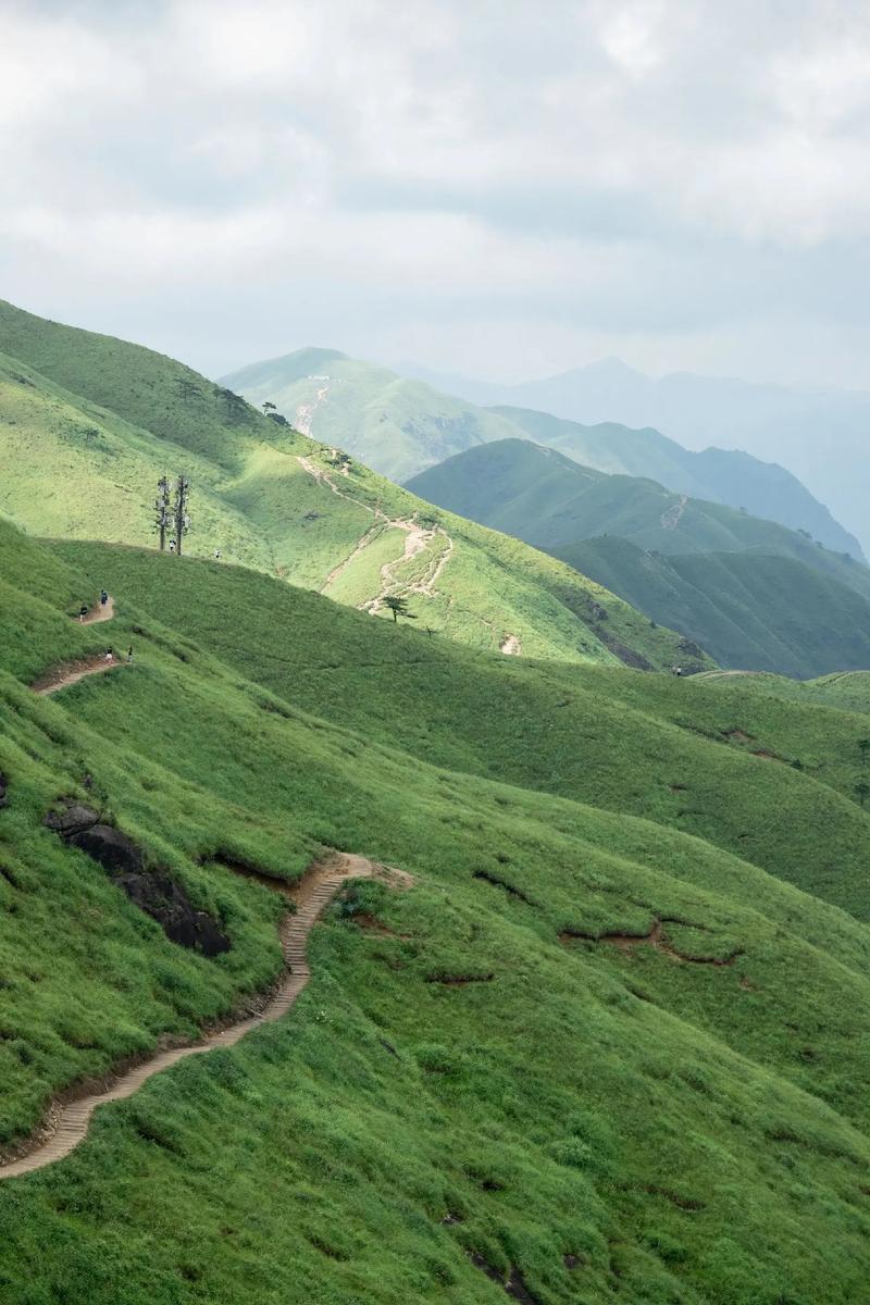 探寻武功山宝藏,山川壮丽，文化底蕴深厚