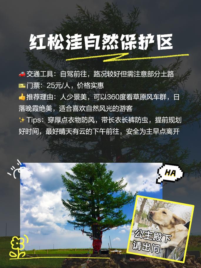 探寻河北围场公园,大自然的调色板与历史的见证  第2张