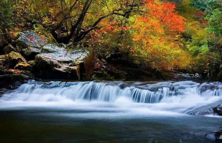 探寻洋县周边美景，领略秦巴山水风情