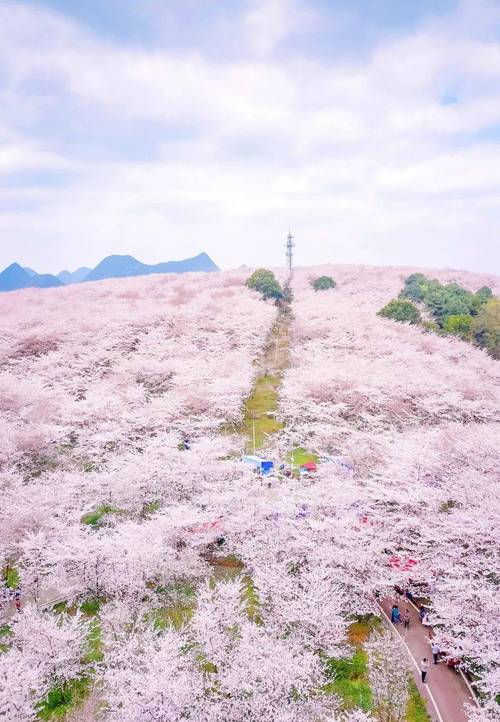 探寻洋县花园,一场穿越时空的浪漫之旅