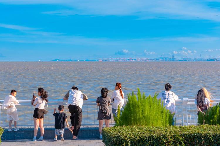 探寻浦口沙滩公园,城市绿洲中的海滨风情