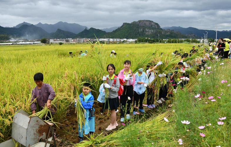 探寻海宁农庄,体验田园风光，感受农耕文化