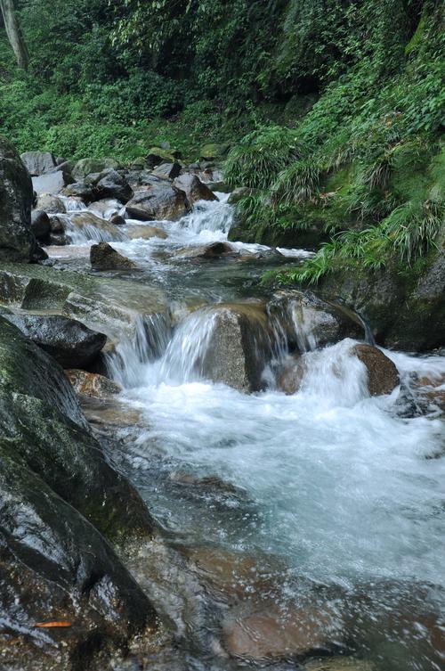 探寻淇县溪流美景,自然与人文的完美交融