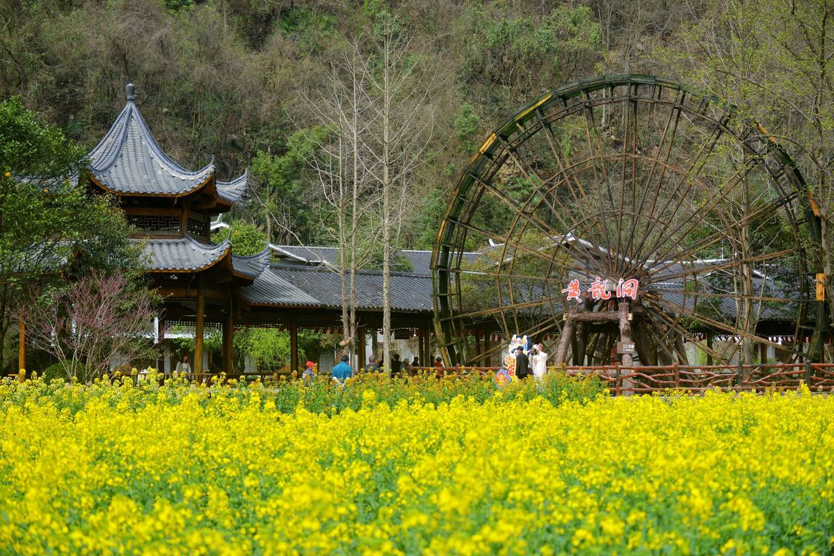 探寻湖州青山古道,穿越历史的长廊，感受自然与人文的交融  第2张