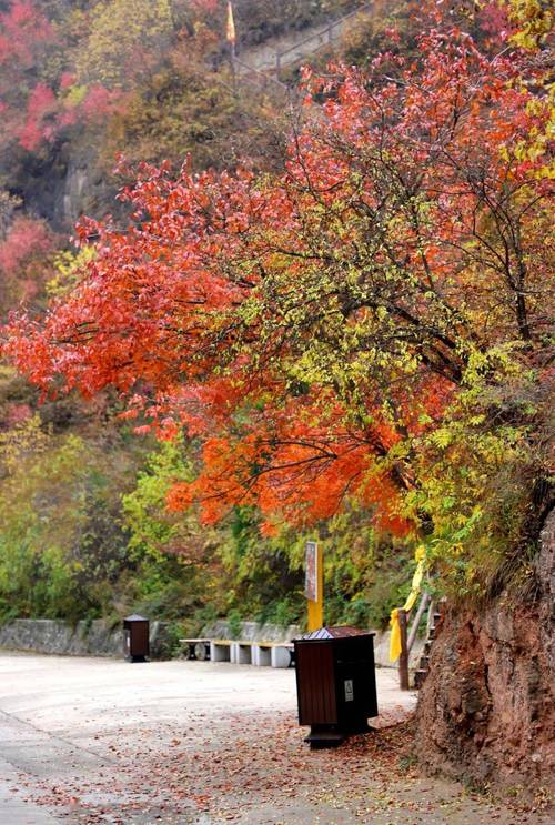 探寻湘西秘境，红枫岭美景如画