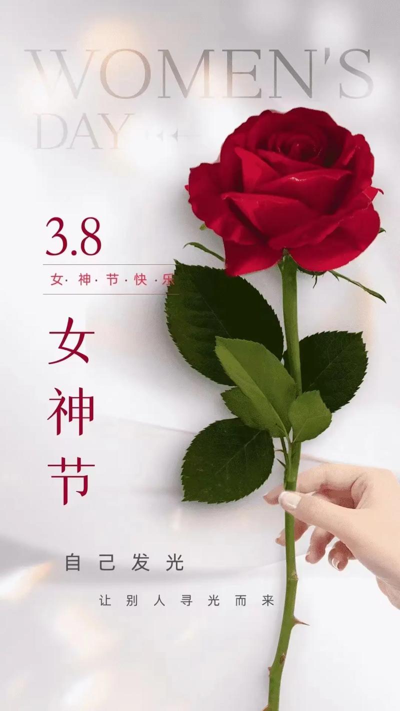 这个女神节你怎么过呀，隔屏赏景。