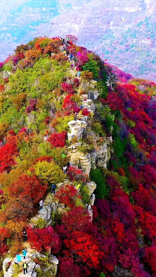 探寻潍坊秋色,山东秋季旅游的绝佳去处