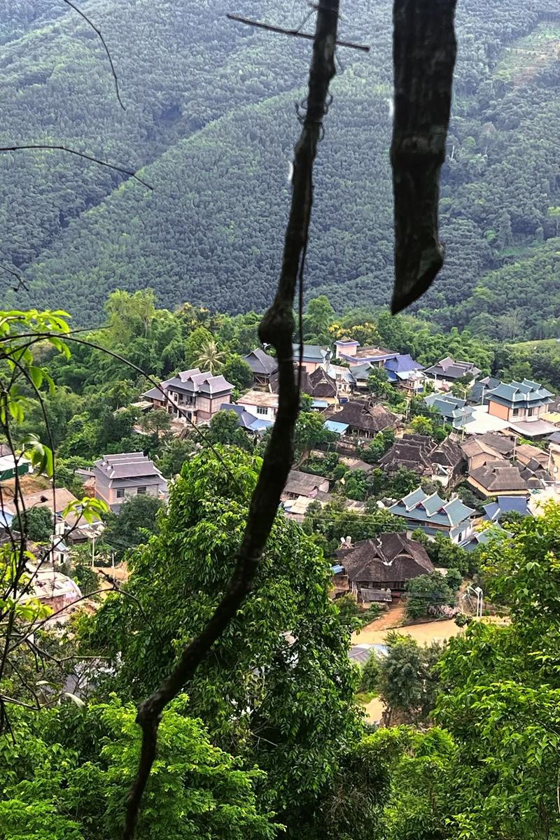 探寻版纳原始风光，感受大自然的鬼斧神工