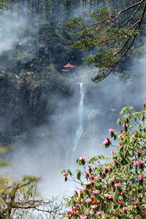 探寻珙县春日美景，畅游自然画卷