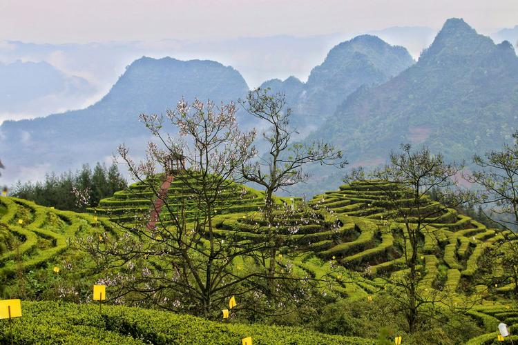 探寻珙县美景,一幅多彩的山水画卷