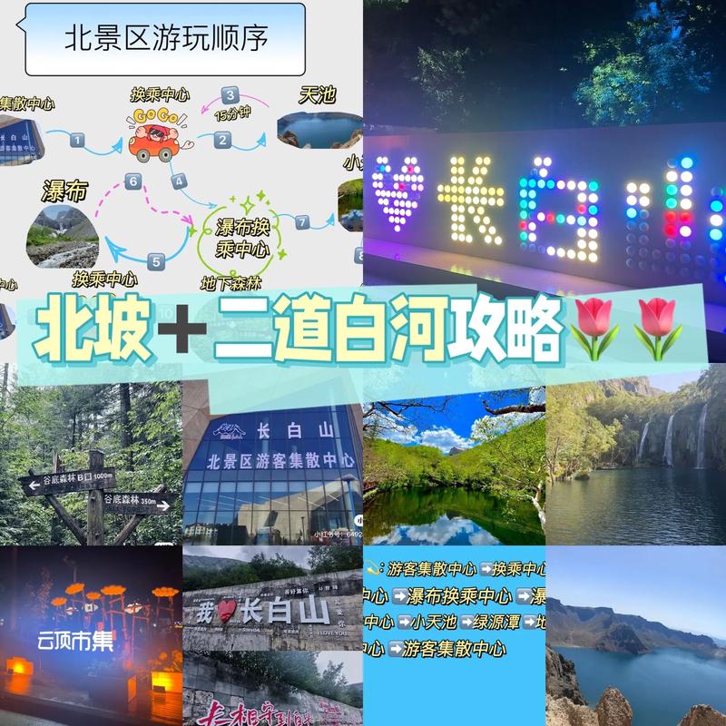 探寻白河二道,大自然的秘境之旅  第2张