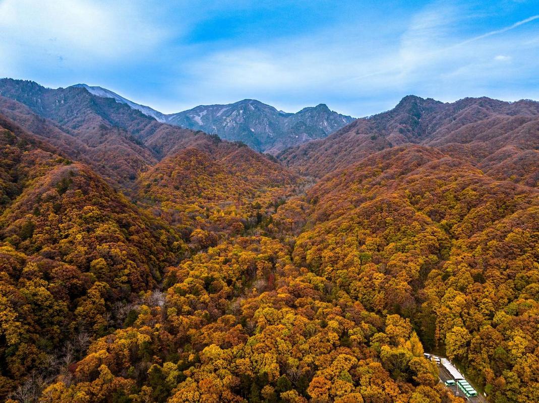 探寻秦岭朱雀,自然奇观与文化底蕴的交融之地