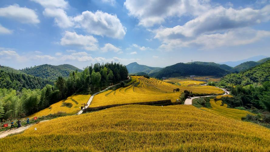 探寻章丘秋色,走进金秋胜景，感受诗意田园