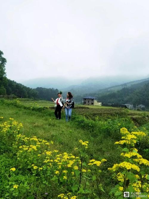 探寻绥宁东山,大自然的秘境与人文历史的交融