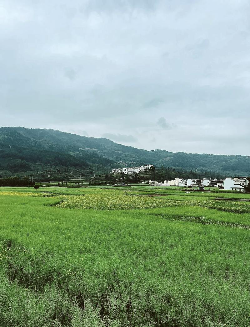 探寻老山不老村的岁月痕迹_走进历史的绿色画廊