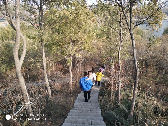 探寻肃宁古韵，体验免费骑马之旅_走进肃宁免费骑马景点