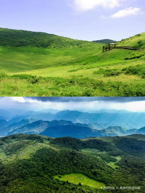 探寻自然奇观,陕西雨林公园，介绍秦岭深处的绿色秘境