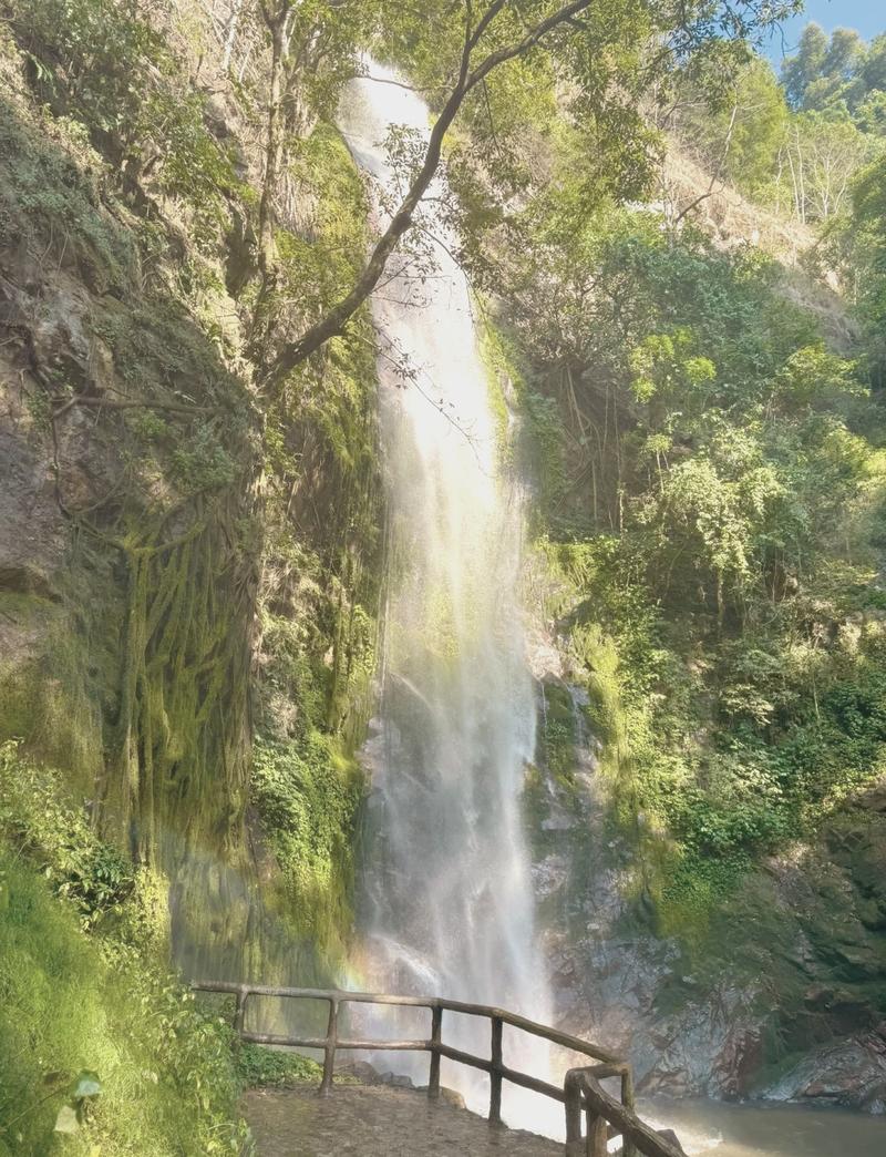 探寻自然奇观_瀑布雨林之旅