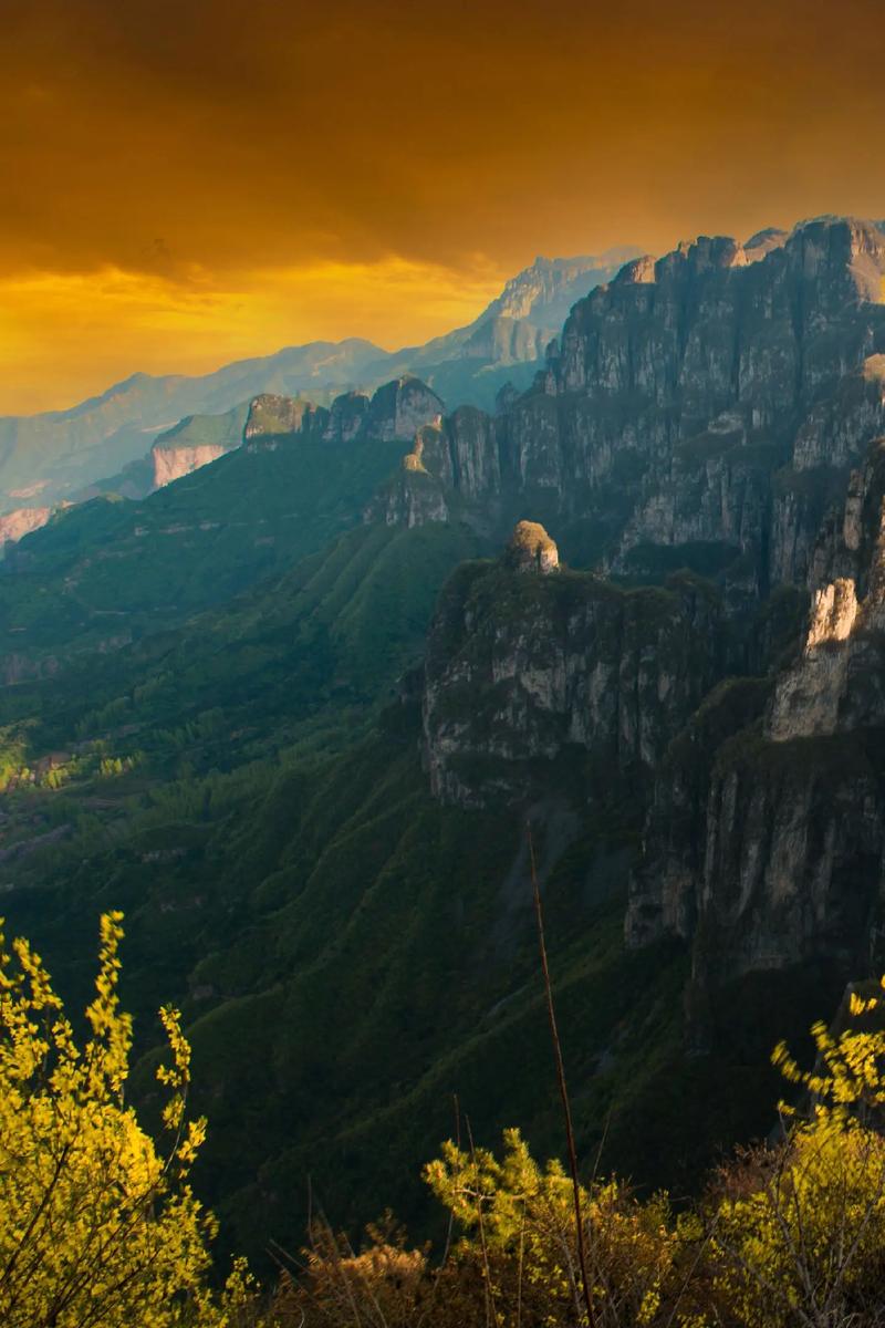 探寻自然奇观，体验王莽岭景区的壮美风光