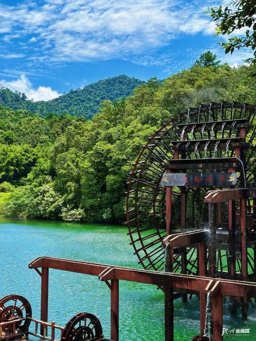 探寻自然奥秘，董奉山,我国生态旅游的绿色明珠