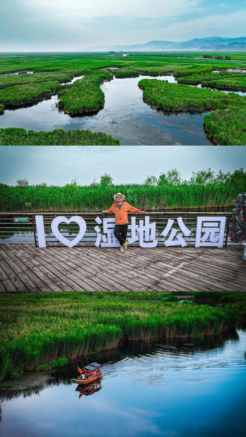 探寻自然秘境，太平湿地花园的生态魅力