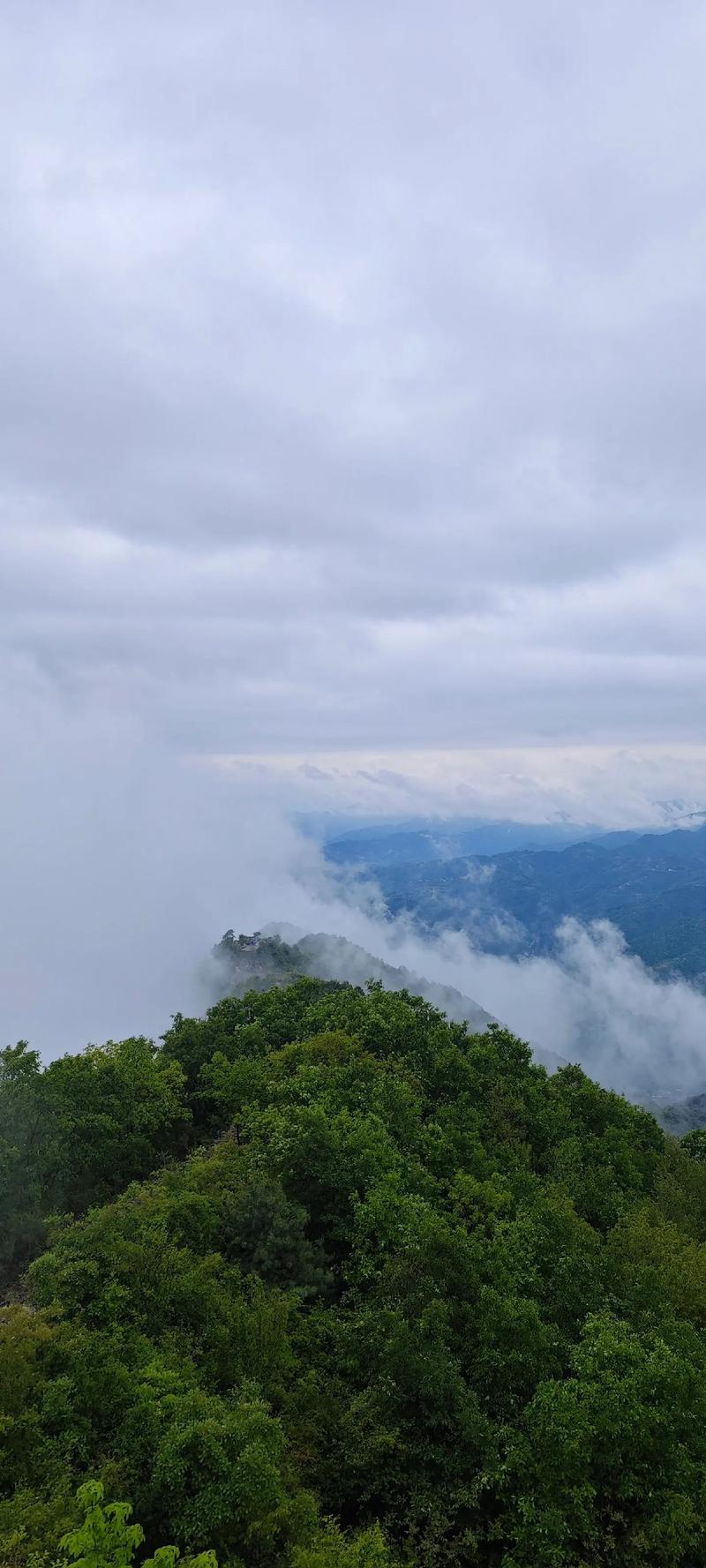 探寻茂名秘境，大雾岭的云海奇观与自然魅力