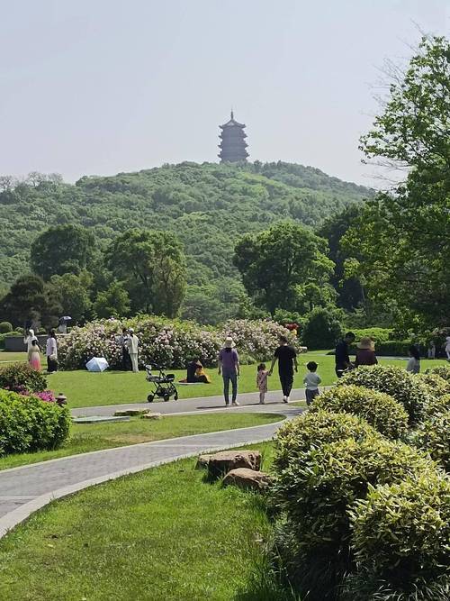 探寻西安麋鹿公园,人与自然和谐共生的生态乐土