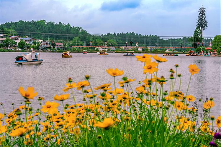 探寻资阳夏日风情，畅游夏季旅游胜地