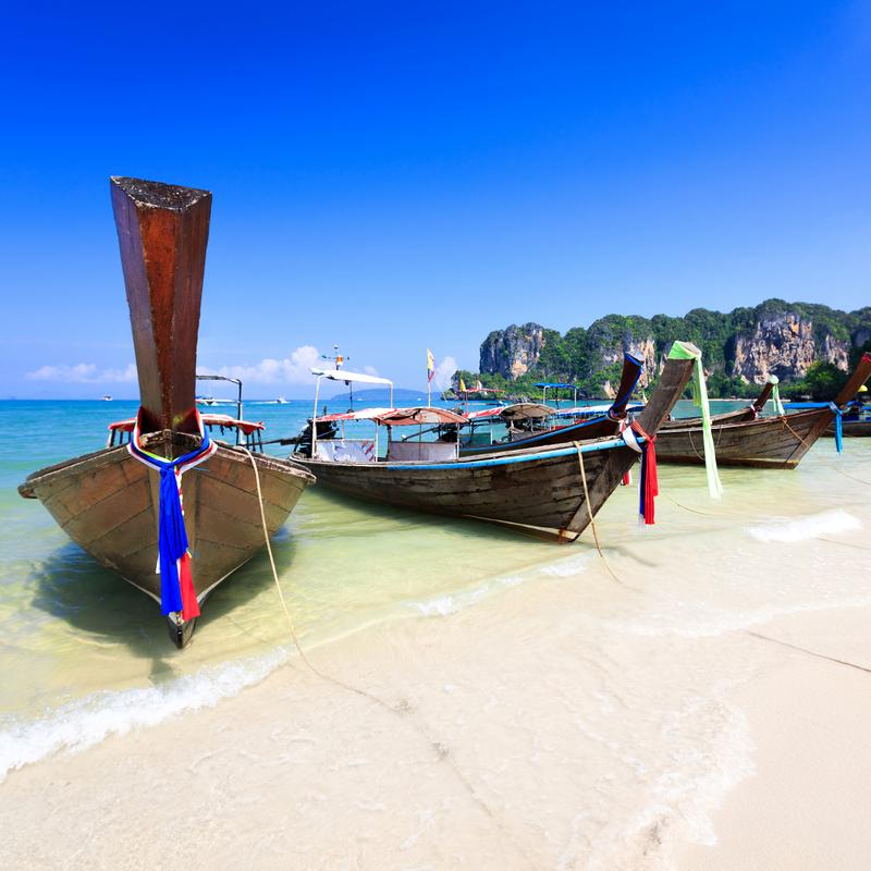 探寻连江大海龟,海洋生物的瑰宝与生态旅游的胜地