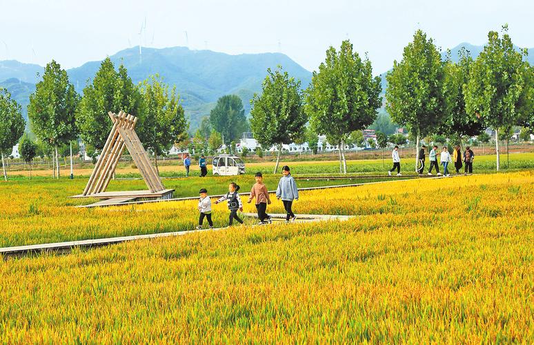 探寻郴州农业魅力,绿色生态，丰收景象