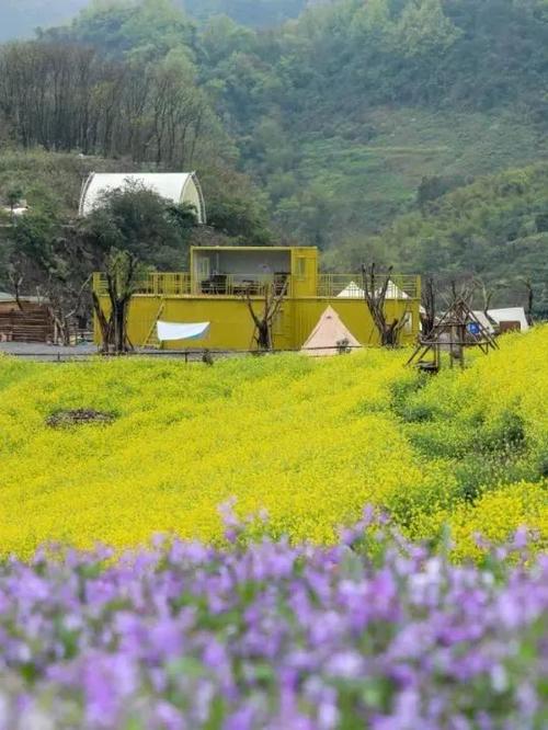 探寻重庆乡村之美,一场说走就走的乡村旅游之旅