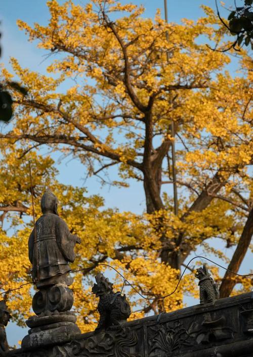 探寻金堂云顶古道,历史与自然的交融之旅